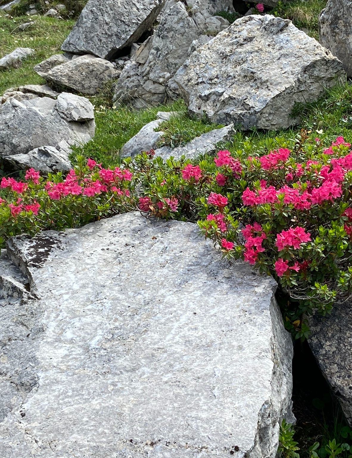 Sustainability at first glance