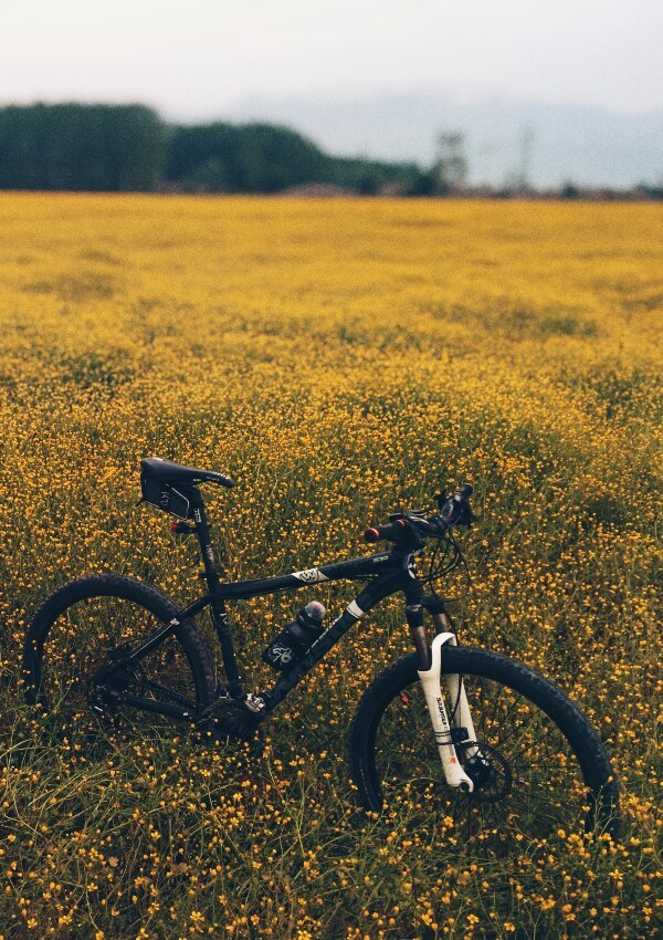 Rocket MTB-Tour 