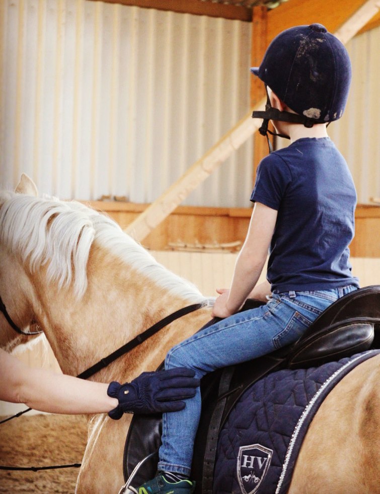 Lunge lessons or private lessons