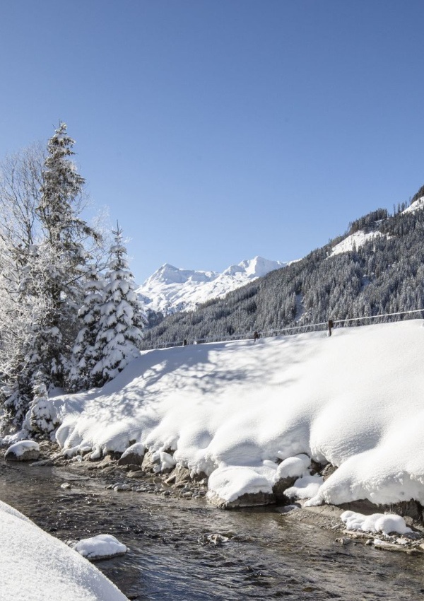 Voyage en bus & randonnée dans le ruisseau au pays des merveilles de Tux