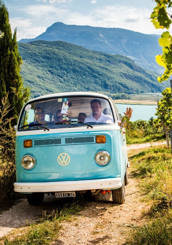 Wein-Tour mit dem VW Bully