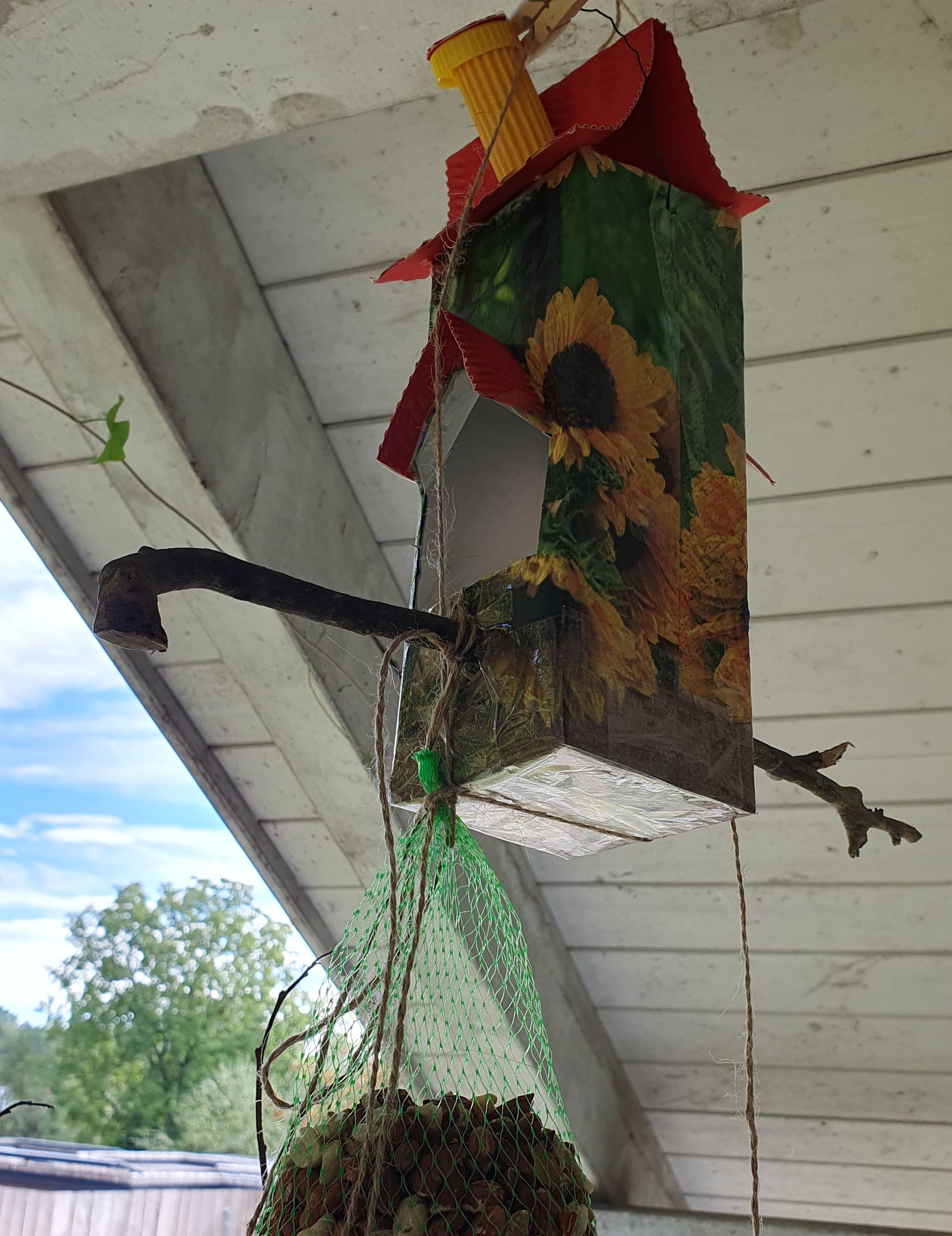 Family experience - Our garden birds