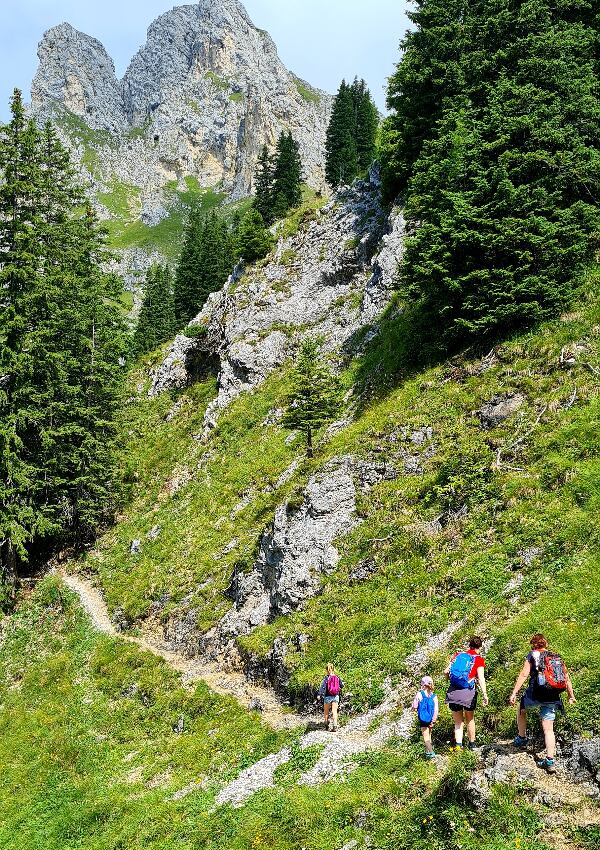 An exciting and varied family hike with Chris