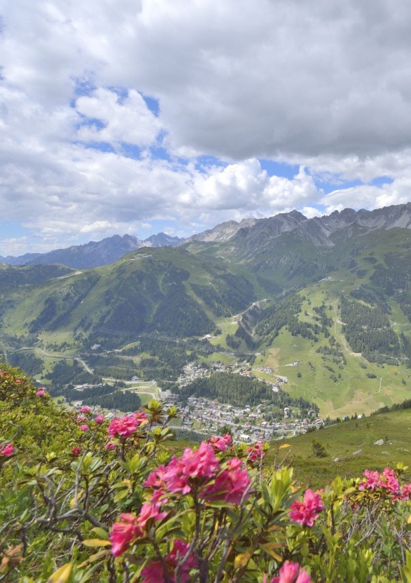 Blumen- und Kräuterwanderung
