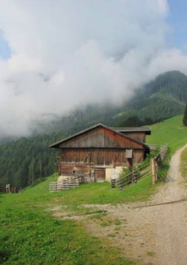 To the Troge Alm with a wonderful view of the Dobbiaco Lake image