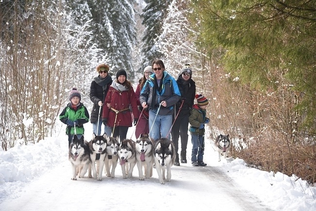 Husky hike