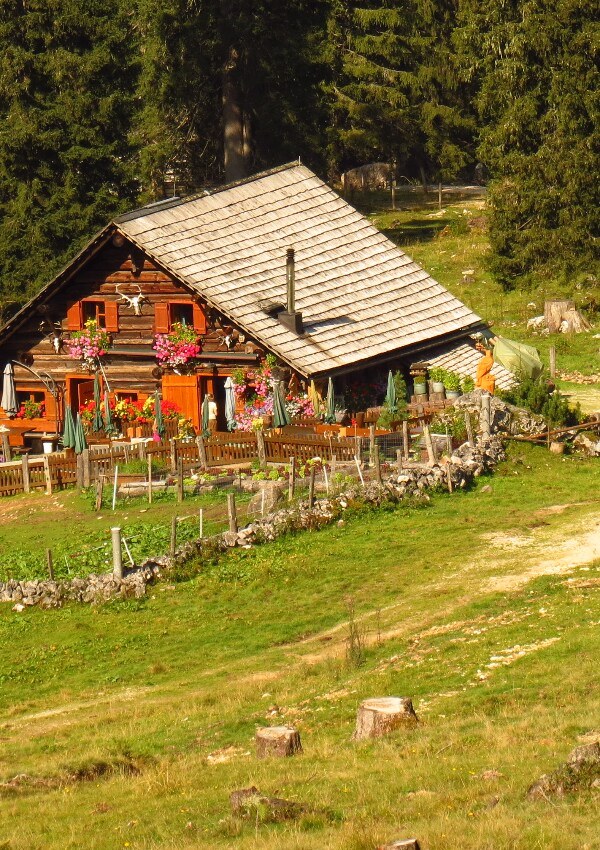 Guided chief tour through the Echan valley to the Rossalm and then to the Gosausee lake