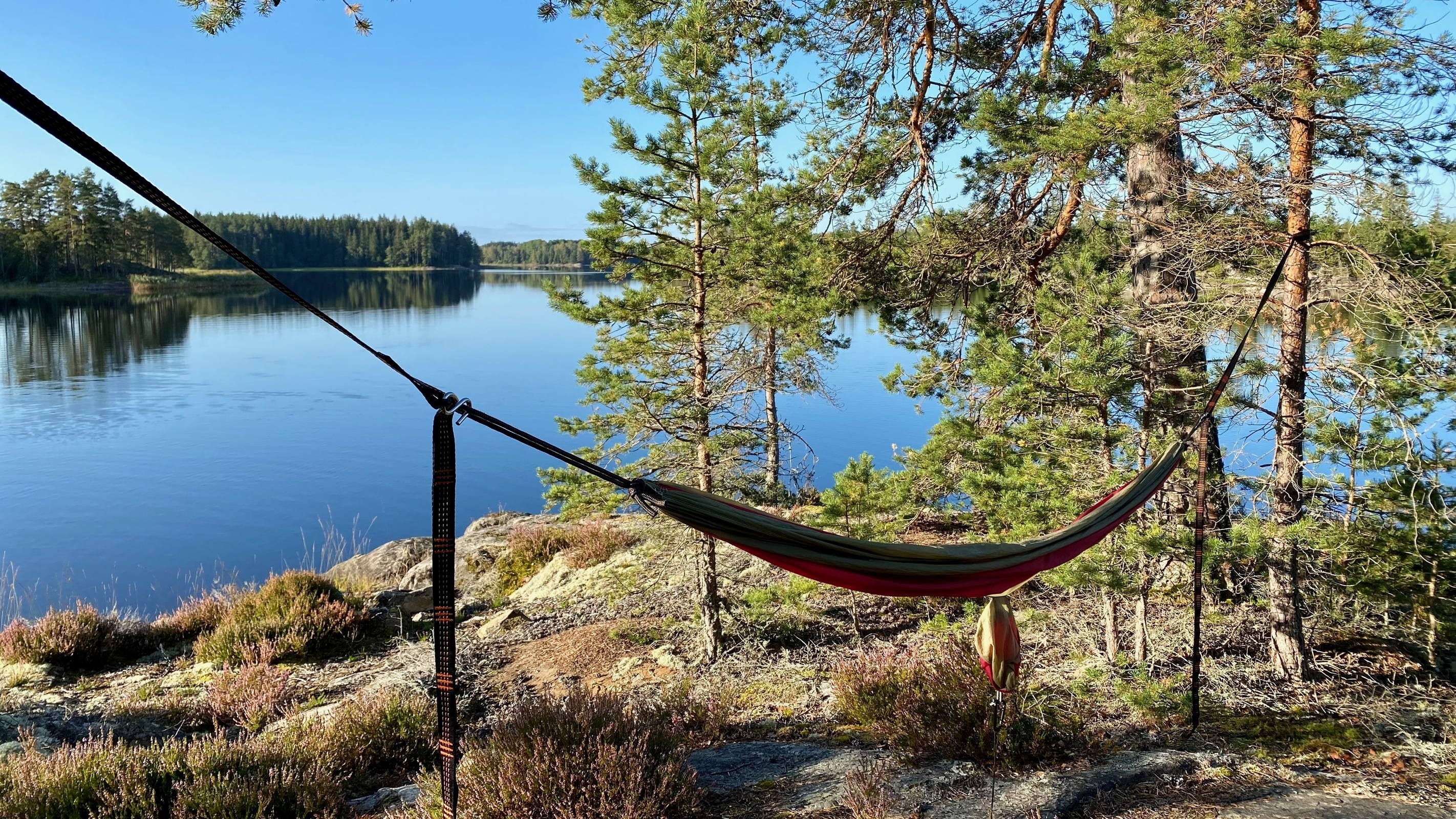 Awake in the Wild - 24 hours time out in the forest
