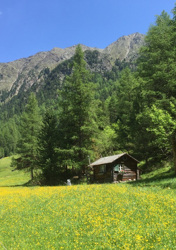 My hiking recommendation : Stabelealm