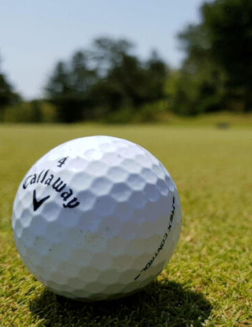 Giornata di prova di golf image
