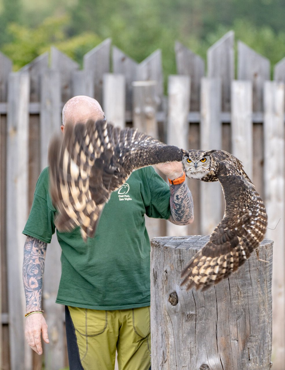 Wanderung zum "Owl Park" mit Paolo