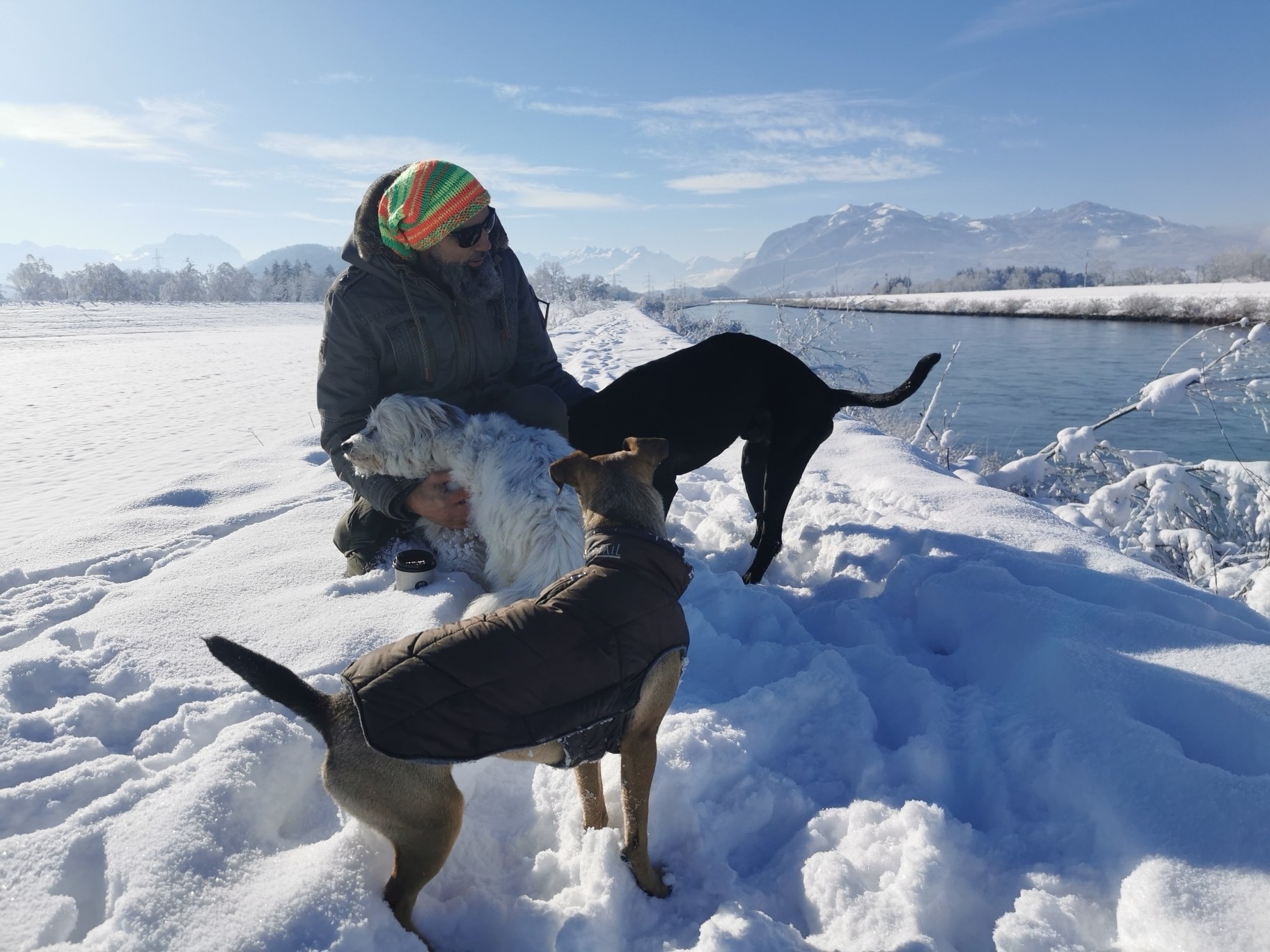 The Dog Walk