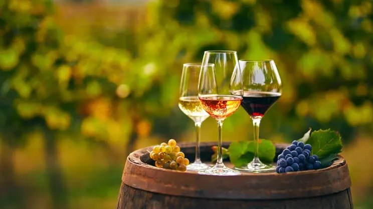 Wine tasting with the wine sommelier (G02)