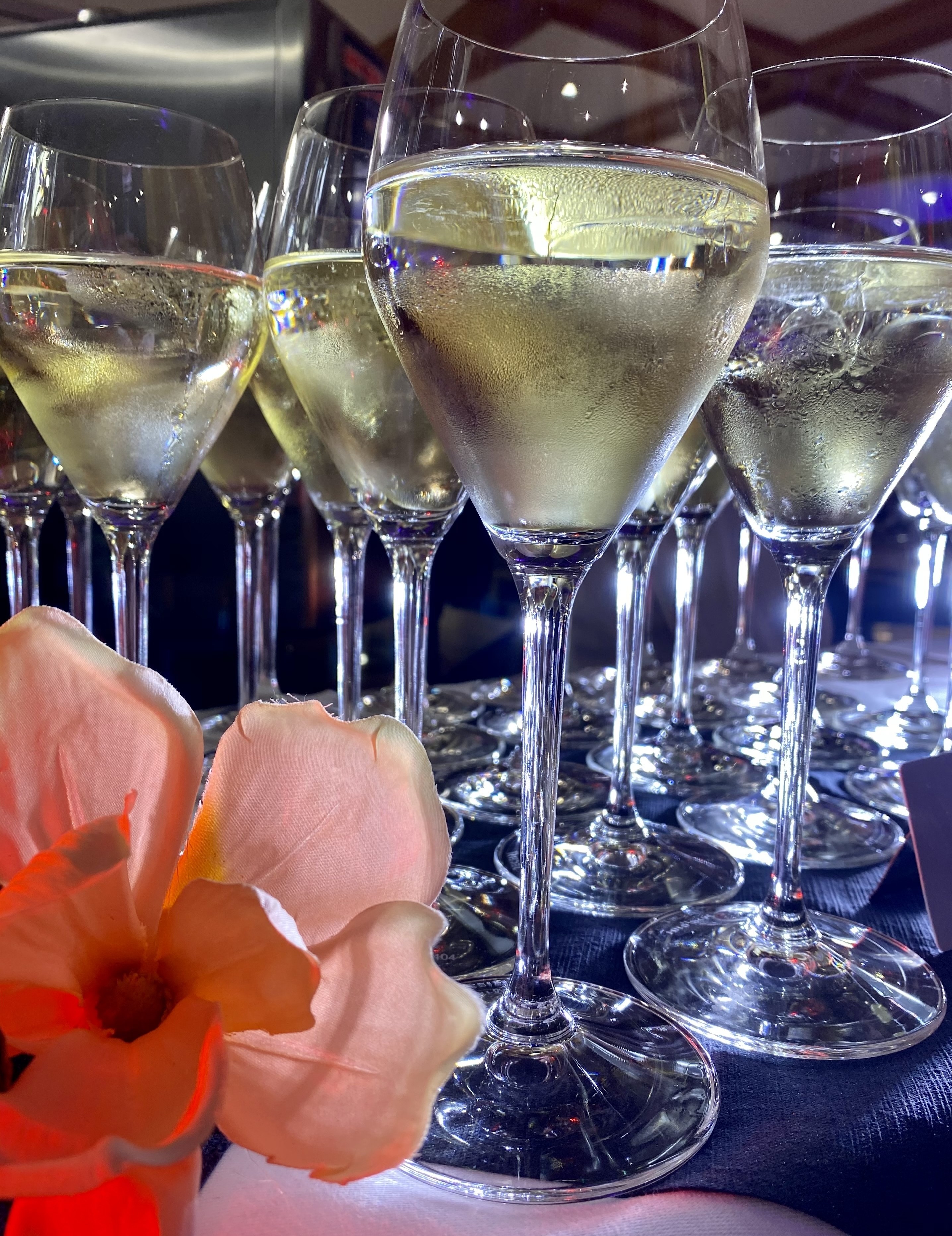 Gala aperitif with live singing