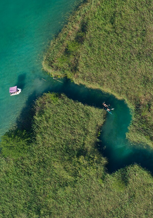 Paddling with the SUP through the reed alley image