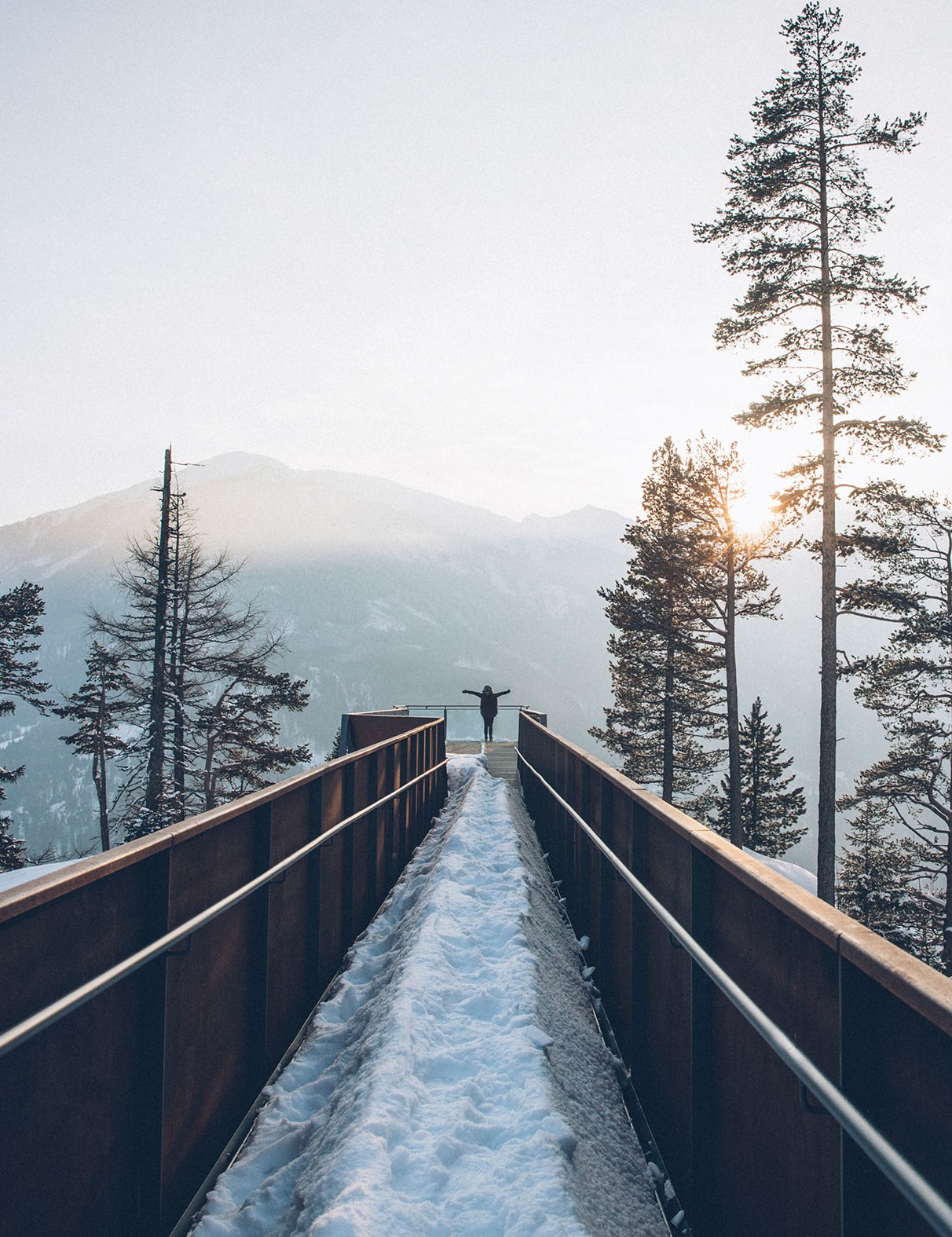 Experience nature respectfully-snowshoe hike