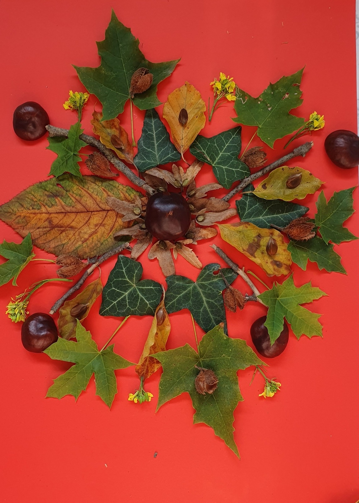 Nature experience - colorful autumn mandalas