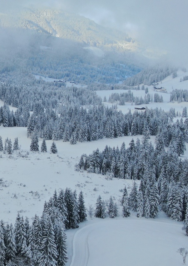 Fairytale snowshoe hike
