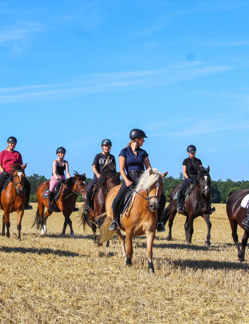 Horseback ride across fields & meadows