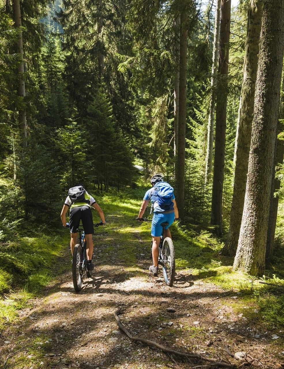 Biketour durch Wald und Wiesen zum Prameter See