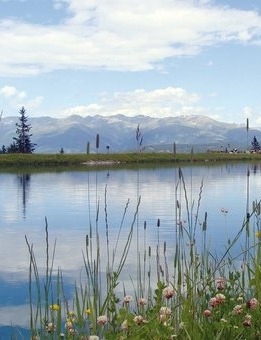 Free guided hike in the Schlick 2000
