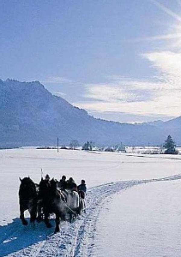 Horse-drawn sleigh ride