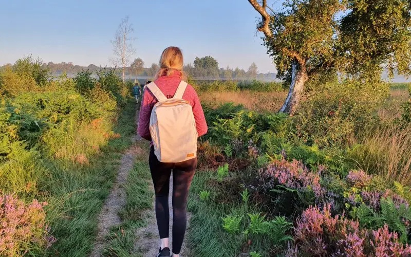 Wanderrouten am und um den Drilandsee