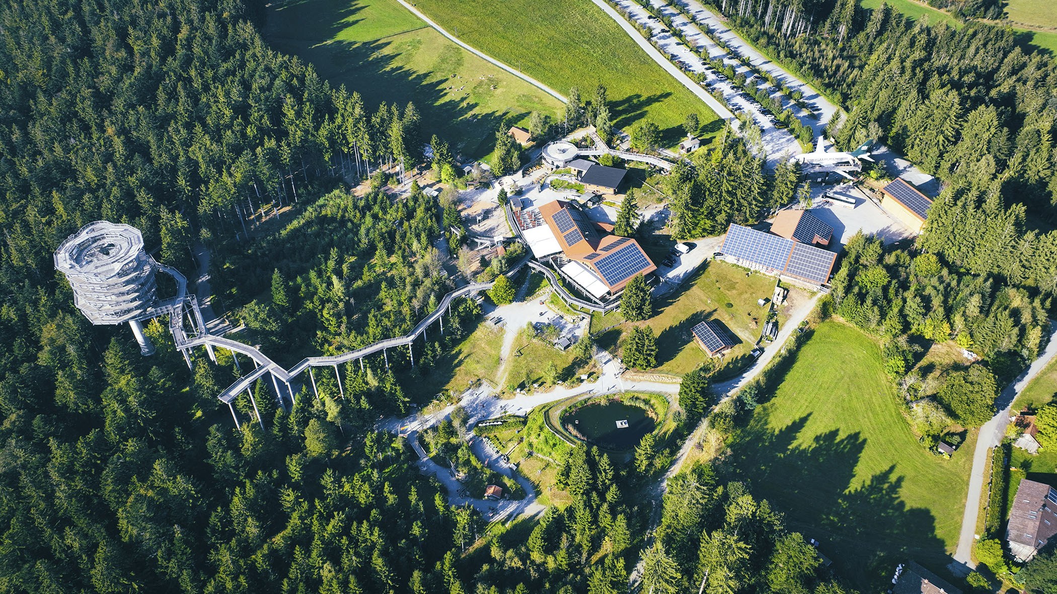 Waldwipfelpfad - House on the head - Flyer