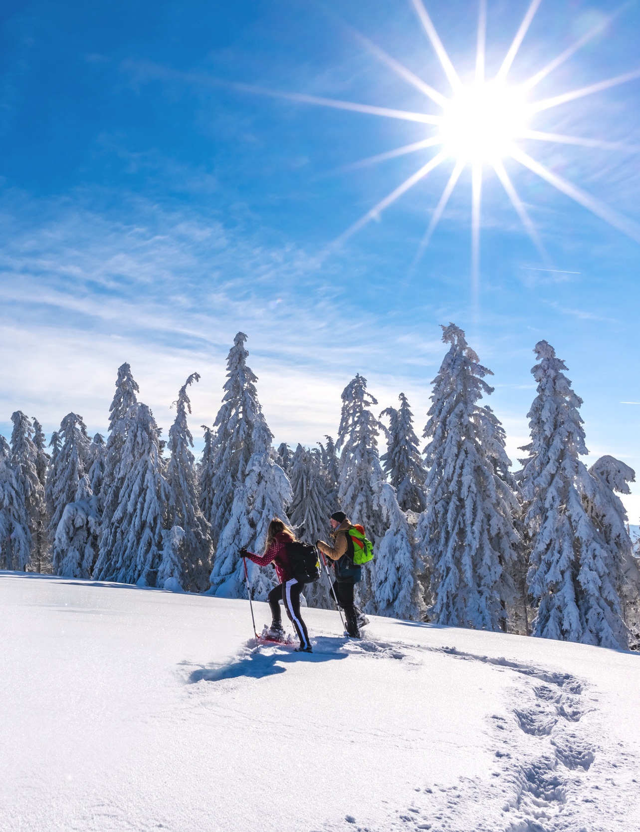Snowshoeing on the heights of Oberried image