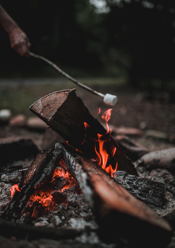 Campfire Evening with Marshmallows and Games