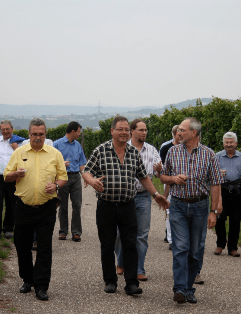 Wine tasting in the vineyard with Siegfried