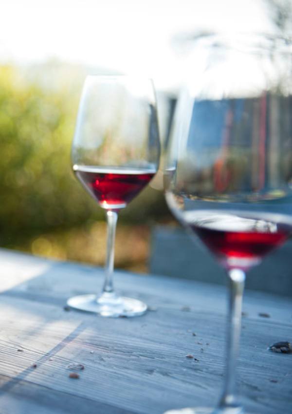 Passende Weinbegleitung