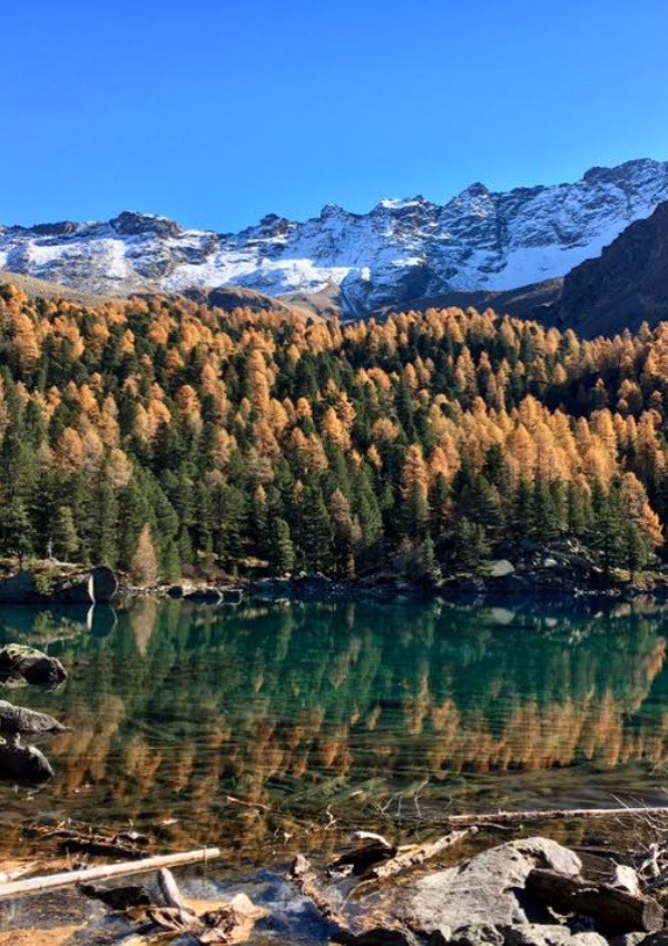 Trekking im Val Viola und Klettern in der Dosdè-Hütte 
