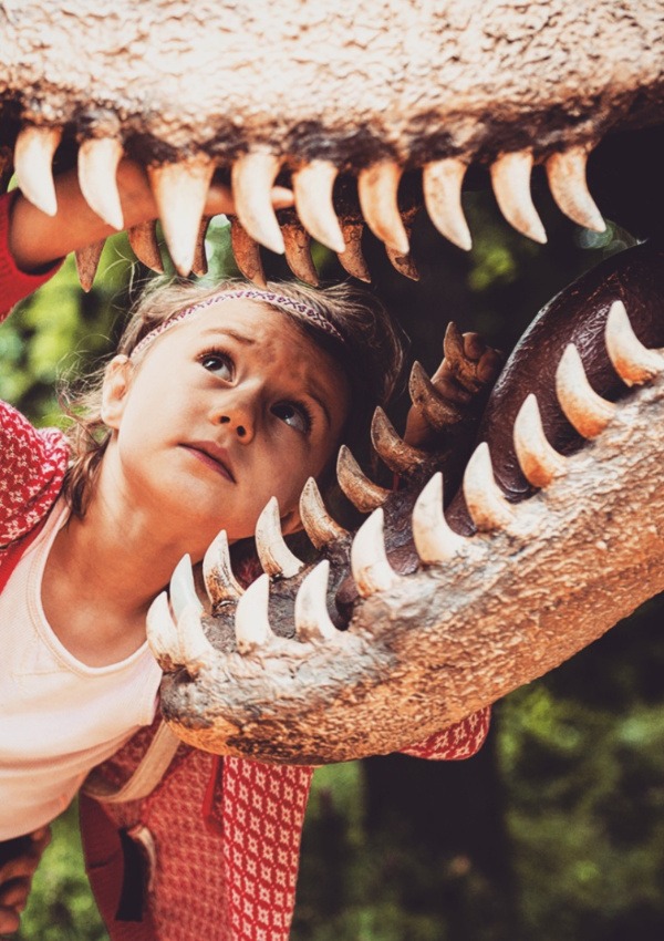 EXCURSION TIP for the trip home!!! Dinosaur Park in Kleinwelka