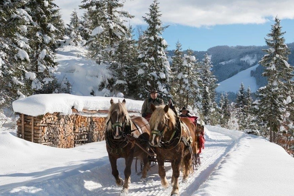 Pferdeschlittenfahrt Koblinger Mühlbach am Hochkönig