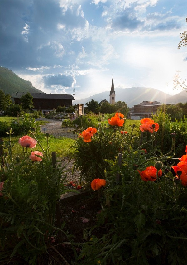 Guided tour in the Hollersbach herb garden