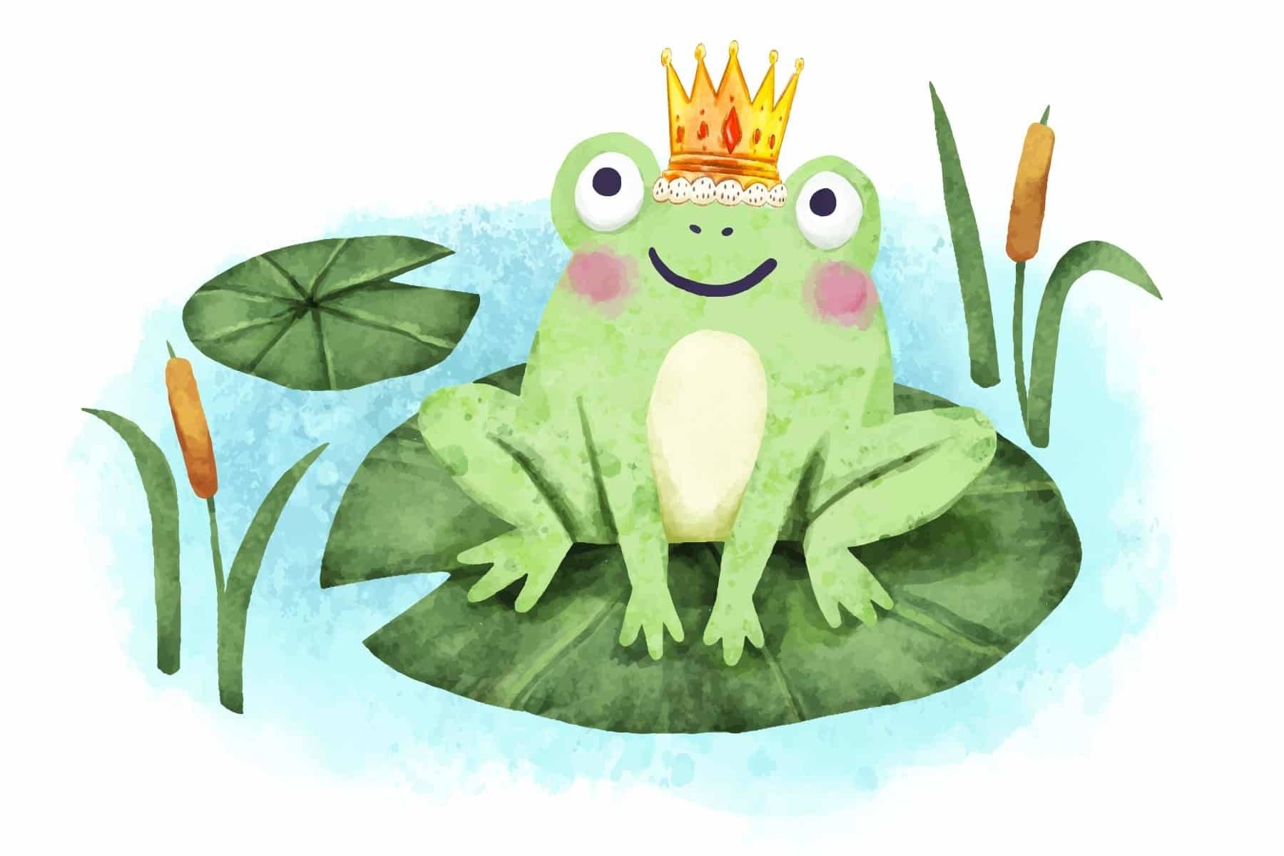 We are looking for the frog king
