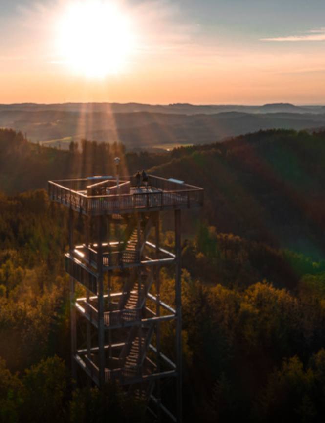 Biketour Panoramablick vom Göblbergturm & Hausruckwaldrunde