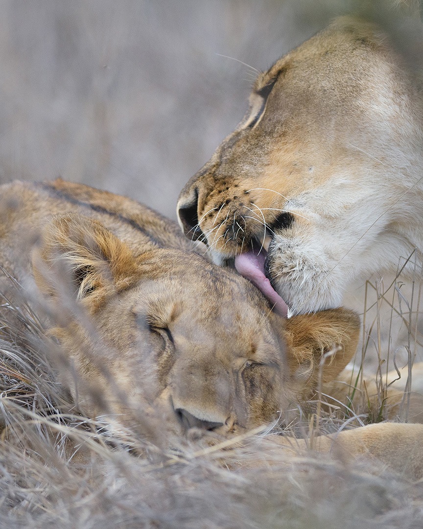 On the road in AFRICA (Part 1)