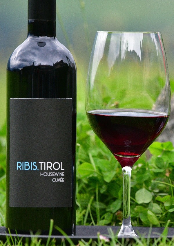 Wine tasting: red, rosé or white