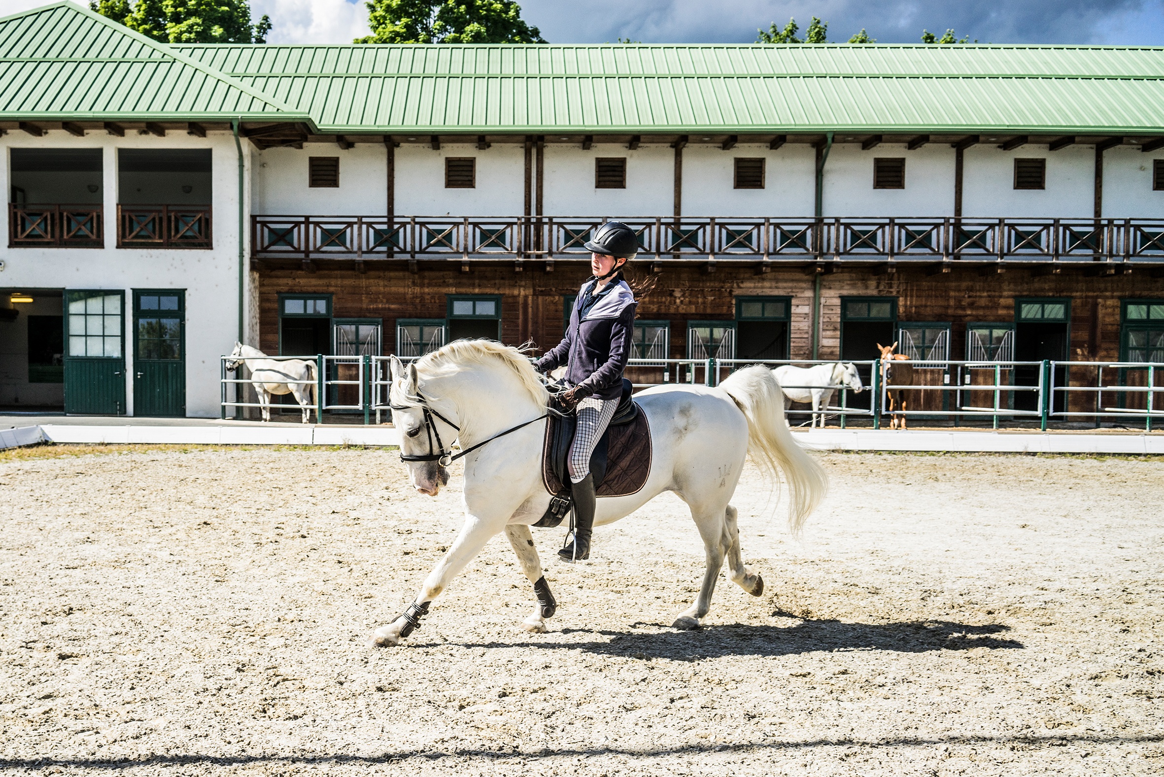 Private lesson