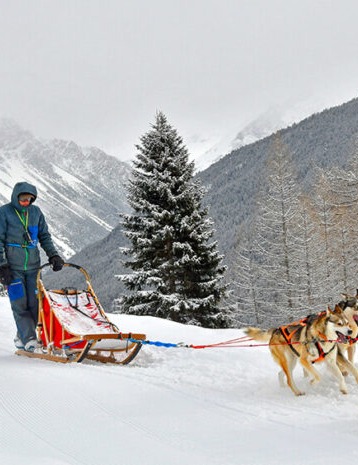 Husky Village