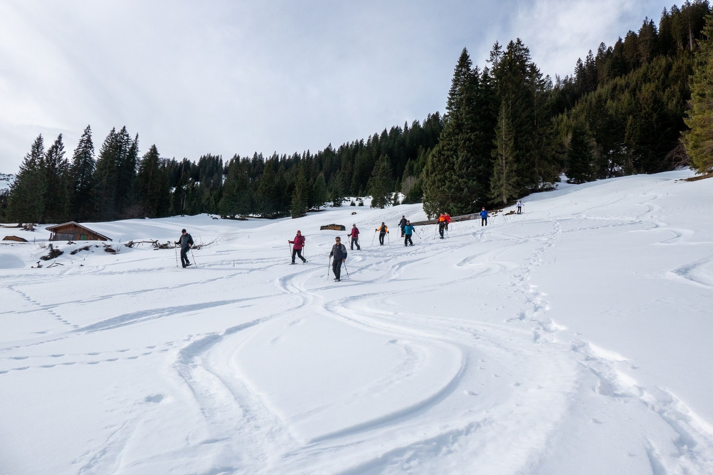 Schneeschuhwanderung - Edenbach