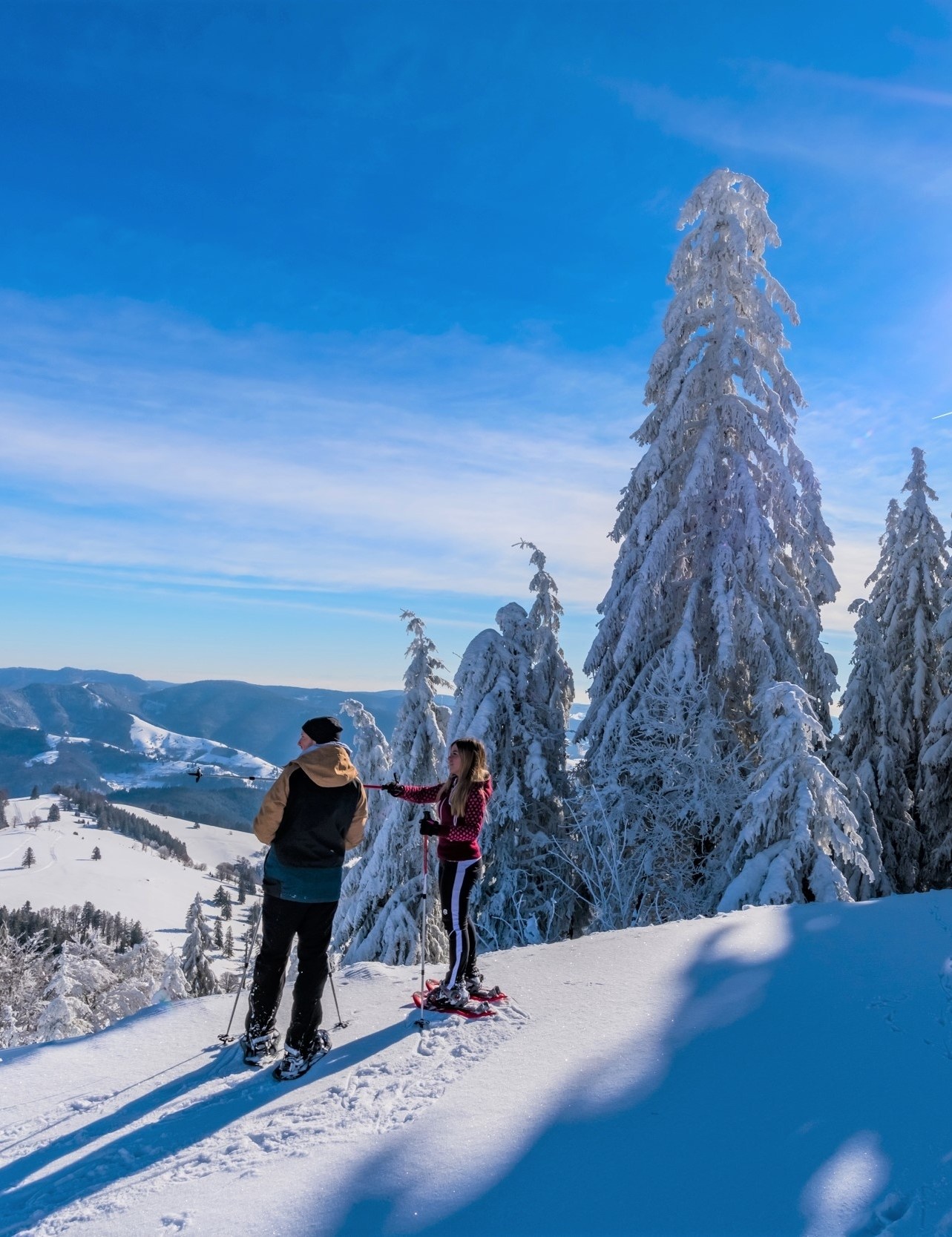 Snowshoeing on the heights of Todtnauberg image