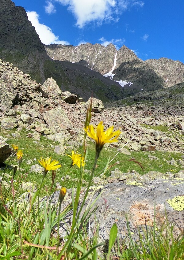 My hiking recommendation : Hauerseehütte 2383m
