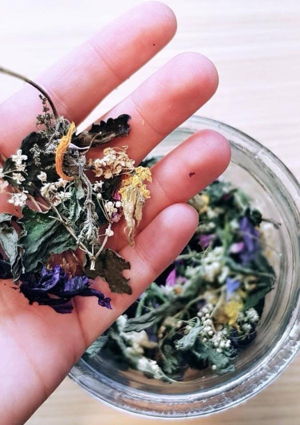 Steffi's Dolomite Herbs