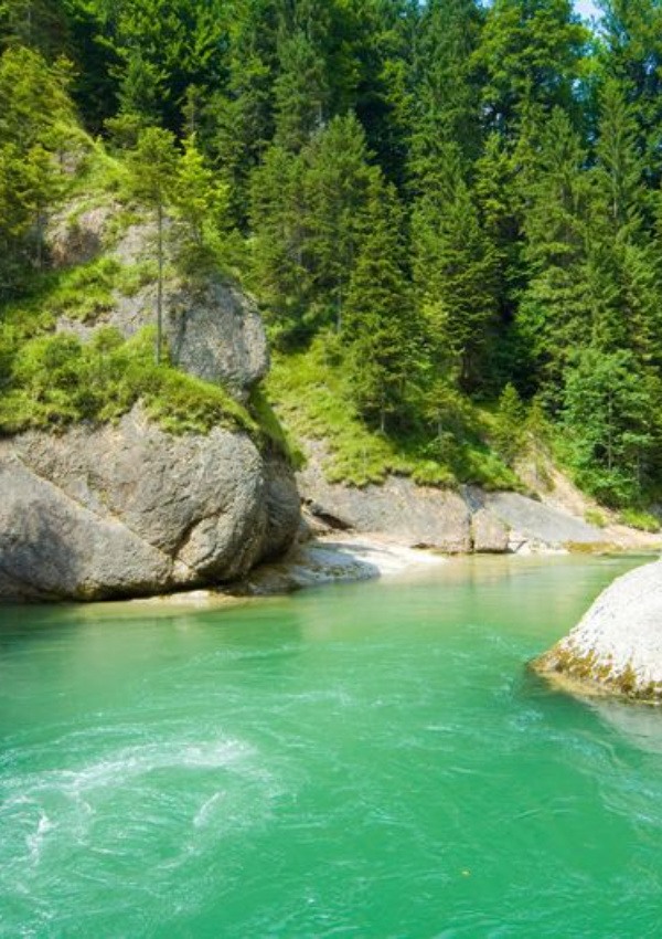 Natur pur - Ammerschlucht  