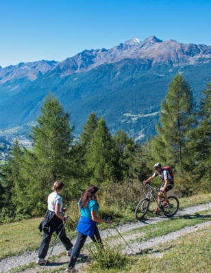 Pedemontana della Reit