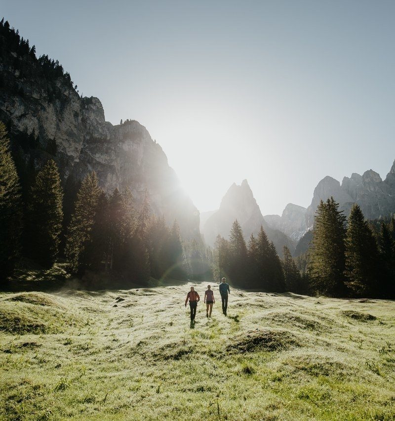 Best summering morning walks, selected by Manuel