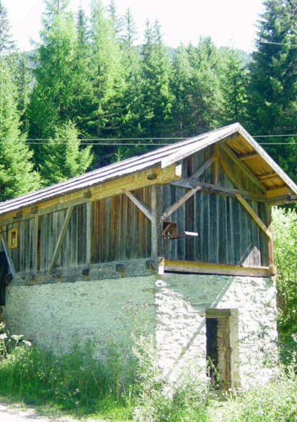Visit of the Greiter mill including sawmill